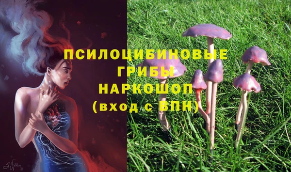 a pvp Балахна